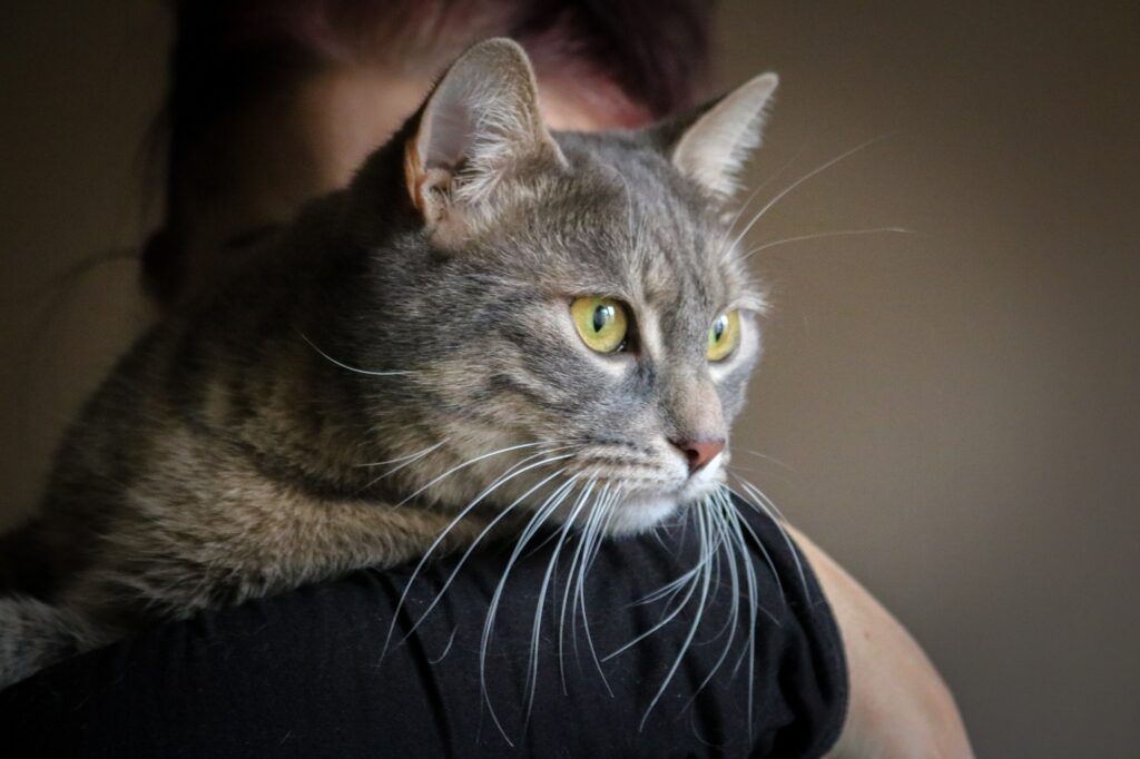 Woman and cat