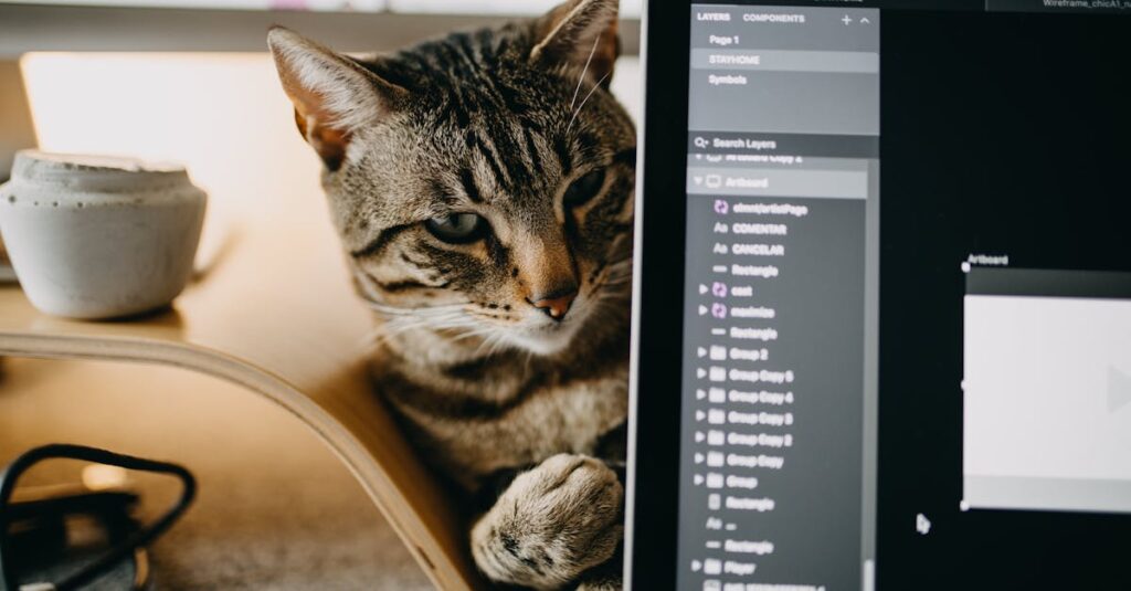 découvrez le comportement fascinant des chats ! apprenez à décoder leurs attitudes, à comprendre leurs besoins et à renforcer votre lien avec votre compagnon félin grâce à nos conseils et astuces pratiques.