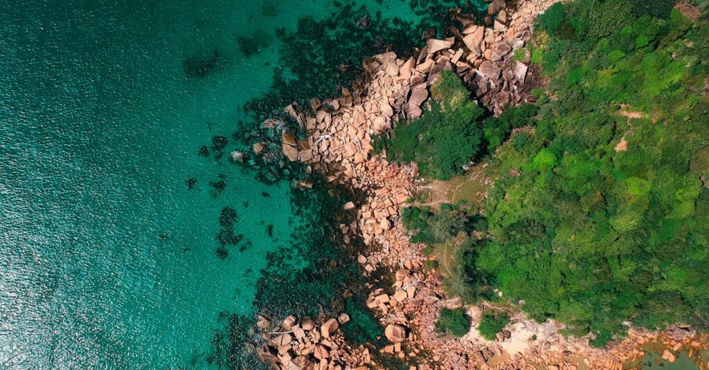 découvrez la beauté et la richesse de notre planète terre, un havre de biodiversité, de paysages fascinants et de cultures variées. explorez les merveilles naturelles, les défis environnementaux et l'importance de préserver notre habitat pour les générations futures.