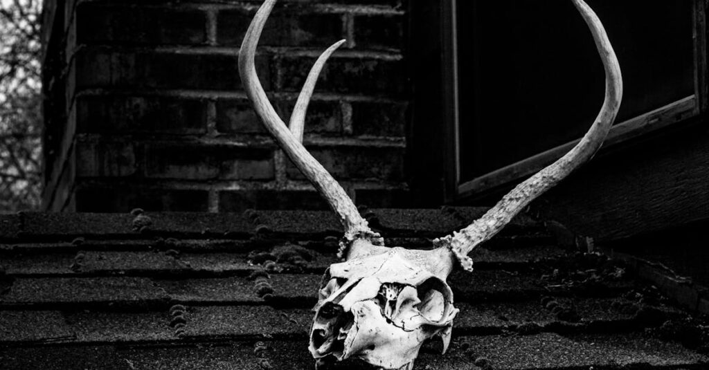 découvrez les différentes perspectives sur la mort, son impact sur la vie, la philosophie qui l'entoure et comment elle façonne notre compréhension de l'existence. plongez dans une réflexion profonde sur le dernier passage de notre existence.