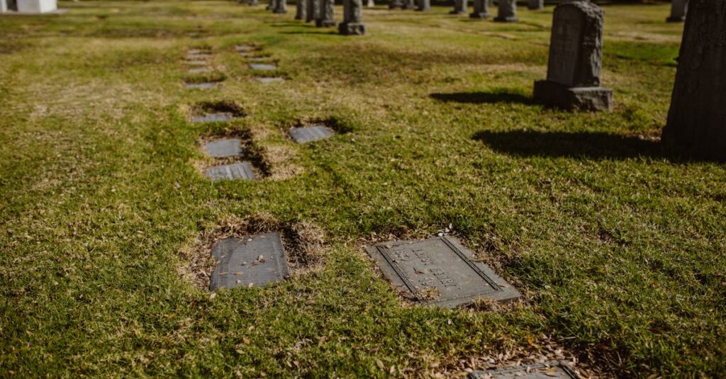 plongez dans l'univers fascinant d'afterlife, une exploration des mystères de l'au-delà, où la vie et la mort se rencontrent. découvrez des histoires poignantes, des réflexions profondes et des révélations qui redéfinissent notre compréhension de l'existence après la vie.