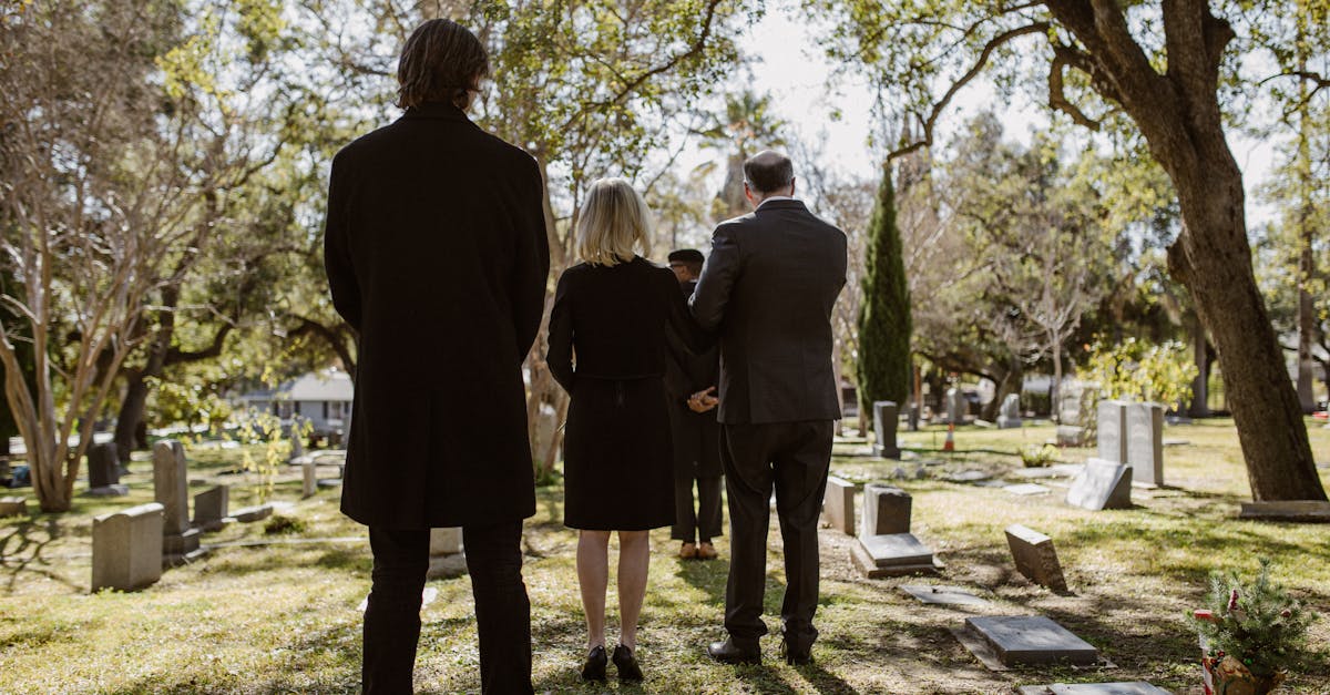 découvrez 'afterlife', une exploration poignante et captivante de l'au-delà, mêlant réflexions spirituelles et récits émouvants qui questionnent notre existence et notre héritage. plongez dans un voyage fascinant au-delà de la vie, où chaque histoire révèle des vérités inattendues.