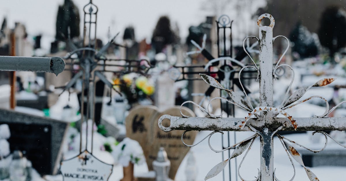 découvrez 'afterlife', une exploration captivante des mystères de la vie après la mort, mêlant réflexion philosophique et intrigues mystérieuses. plongez dans un univers où les croyances se confrontent et les âmes se dévoilent.