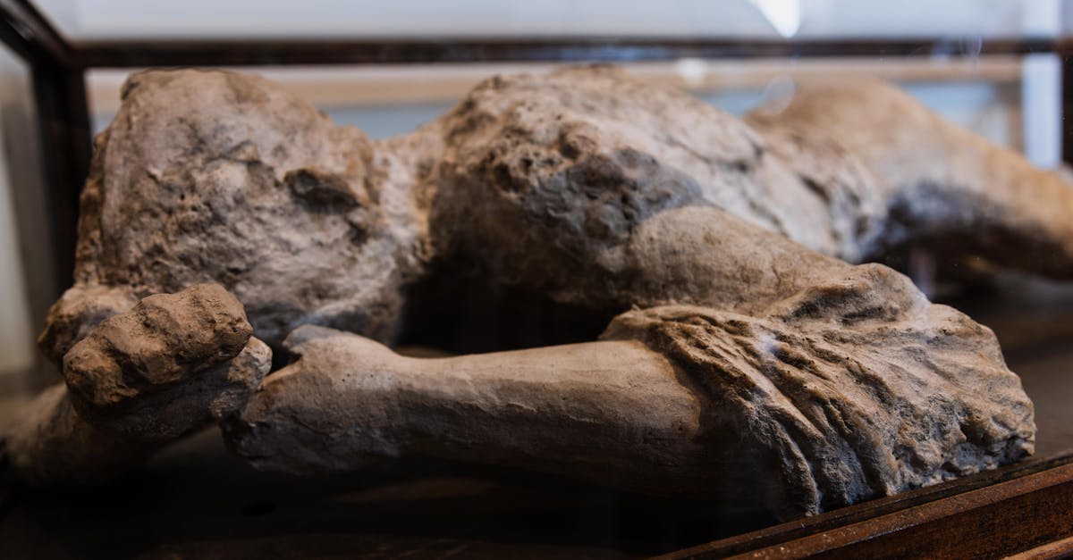 découvrez les dernières découvertes archéologiques qui révolutionnent notre compréhension du passé. plongez dans des fouilles fascinantes et explorez des artefacts anciens révélant les secrets des civilisations disparues.