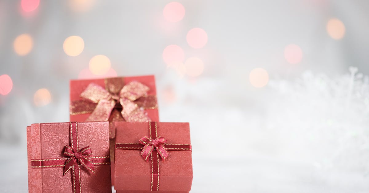 découvrez la magie de noël avec nos idées de décorations, recettes festives et traditions pour célébrer cette période enchantée. plongez dans l'esprit de noël et créez des souvenirs inoubliables en famille et entre amis.