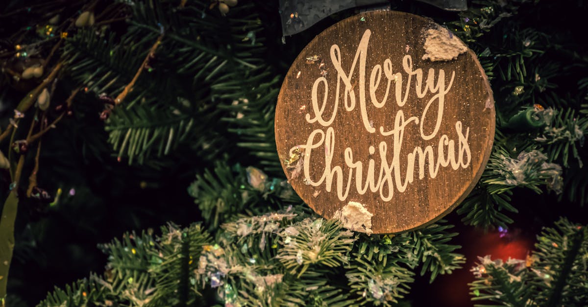 découvrez la magie de noël avec des idées de cadeaux, des recettes festives et des traditions inoubliables. préparez-vous à célébrer cette saison chaleureuse en famille et entre amis.