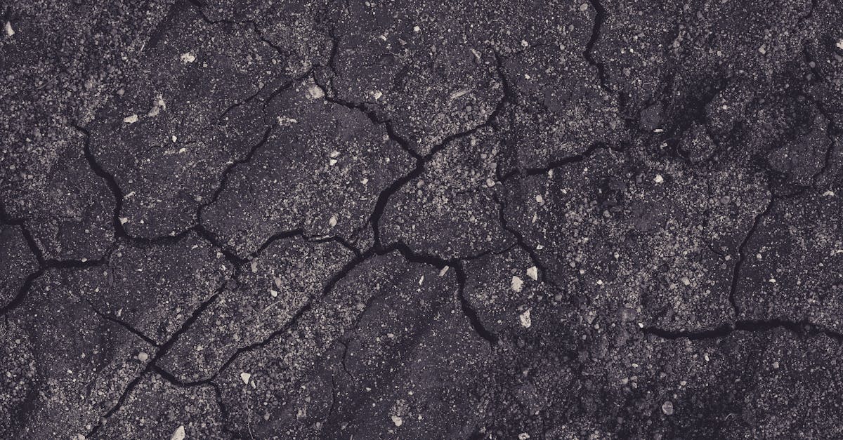 découvrez tout sur les tremblements de terre : causes, effets, prévention et préparation. informez-vous sur les séismes qui façonnent notre planète et comment nous pouvons nous protéger face à ce phénomène naturel.