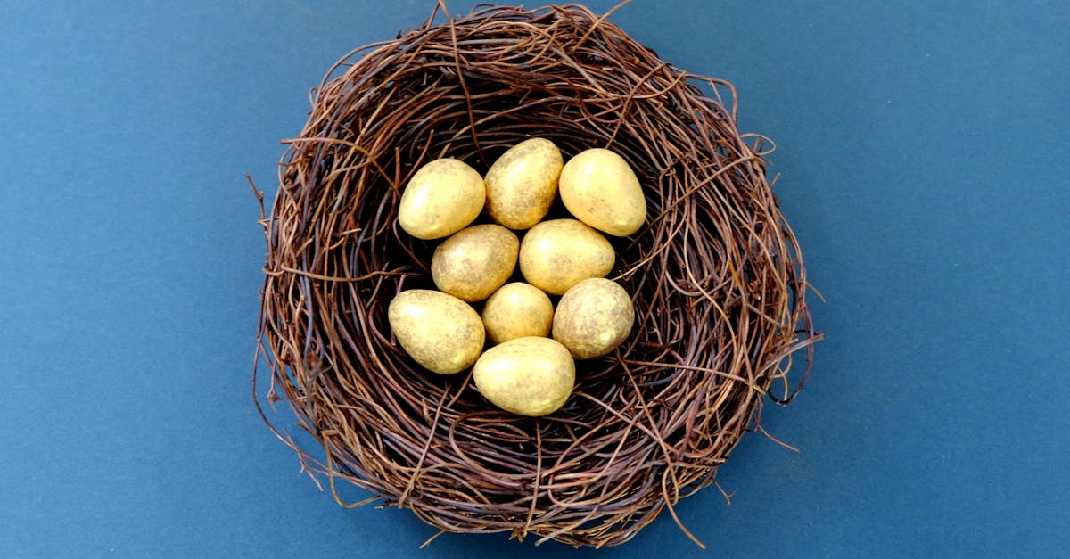 découvrez l'histoire et les traditions de pâques, une fête célébrée à travers le monde. plongez dans les traditions familiales, les recettes délicieuses et les activités joyeuses qui rendent ce jour spécial. que vous soyez à la recherche d'idées d'easter egg hunt ou de recettes de petits gâteaux festifs, trouvez tout ce qu'il vous faut pour célébrer pâques avec joie.