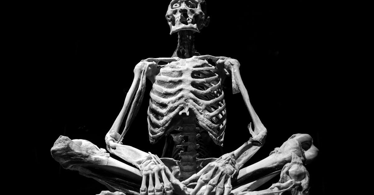 découvrez tout ce qu'il faut savoir sur le fémur, l'os long le plus important du corps humain. apprenez son rôle, son anatomie, ainsi que les blessures et pathologies qui peuvent l'affecter, pour mieux comprendre cet élément essentiel de la locomotion.