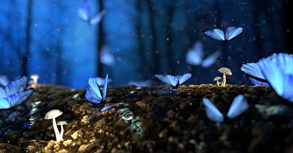 découvrez la beauté et la biodiversité des forêts, des écosystèmes essentiels pour notre planète, abritant une faune variée et jouant un rôle crucial dans la lutte contre le changement climatique.