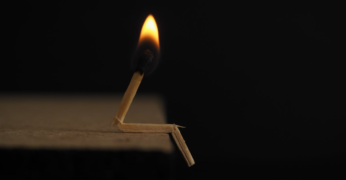 découvrez tout sur la chaleur : ses effets, ses utilisations et ses dangers. explorez comment la chaleur influence notre quotidien et apprenez à la maîtriser pour un meilleur confort et bien-être.