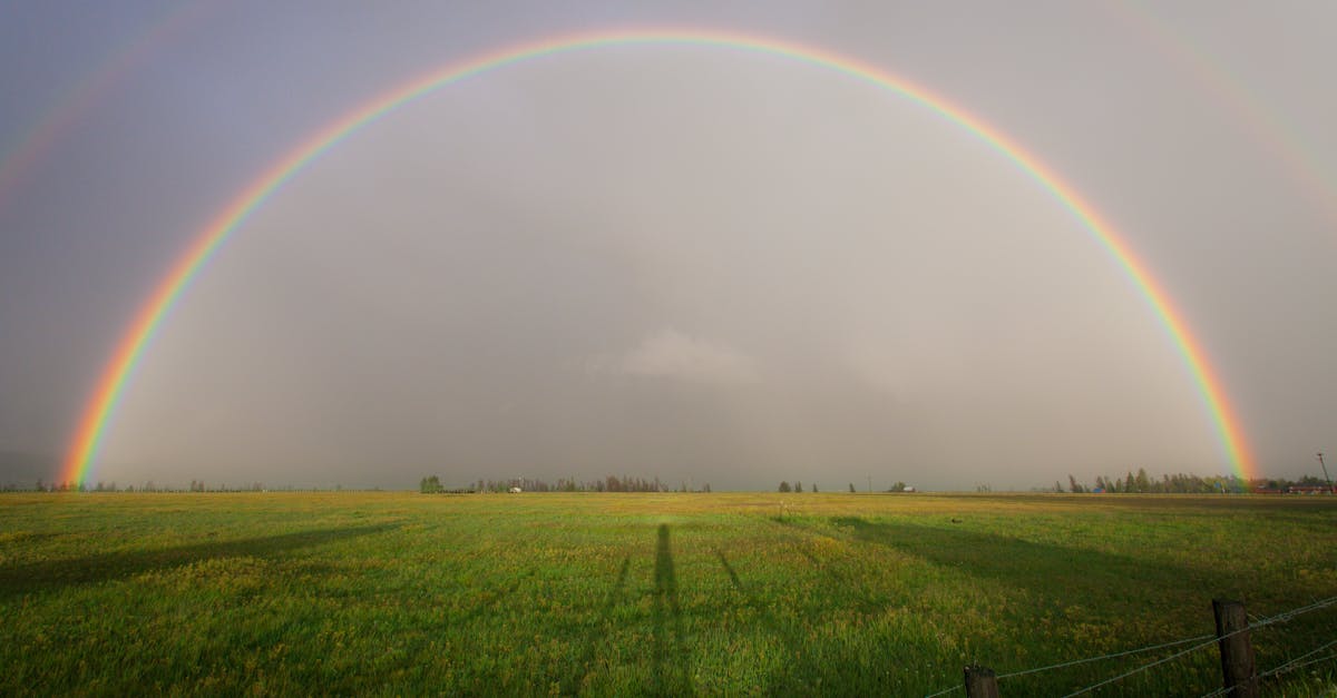 découvrez l'horizon, symbole d'espoir et d'aventure, où le ciel rencontre la terre. plongez dans un monde de possibilités infinies et laissez-vous inspirer par la beauté des paysages et des rêves qui se dessinent à l'horizon.