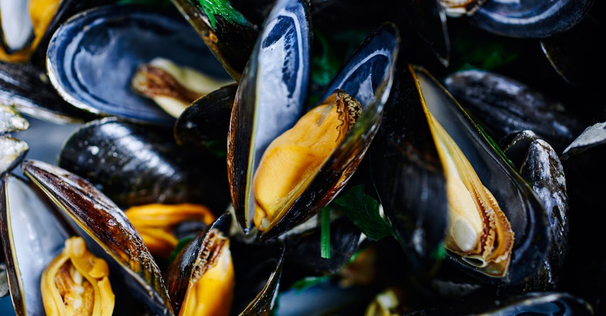 découvrez la délicieuse variété des moules, un fruit de mer prisé pour son goût savoureux et sa polyvalence en cuisine. apprenez à les préparer de manière simple et créative pour régaler vos convives.