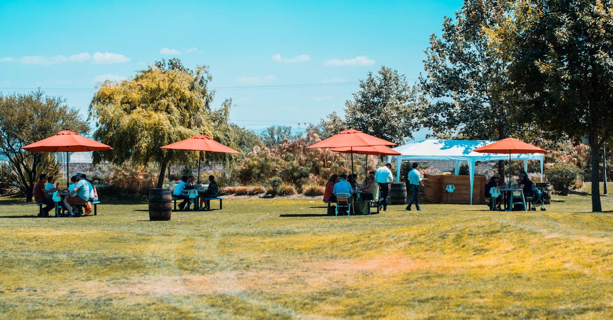 découvrez l'art du picnic parfait : conseils pratiques, recettes savoureuses et astuces pour profiter d'une journée en plein air inoubliable. emportez vos délices préférés et créez des souvenirs mémorables sous le soleil.