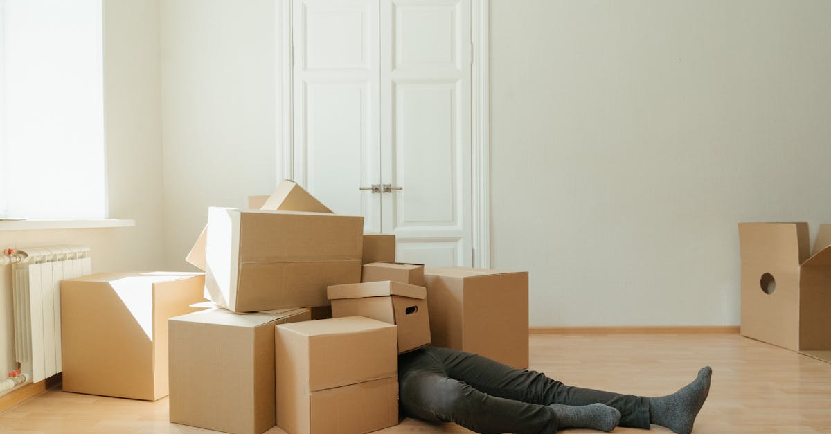 découvrez comment relancer efficacement votre projet ou votre carrière avec des stratégies éprouvées et des conseils pratiques. trouvez des inspirations et des ressources pour un nouveau départ réussi.