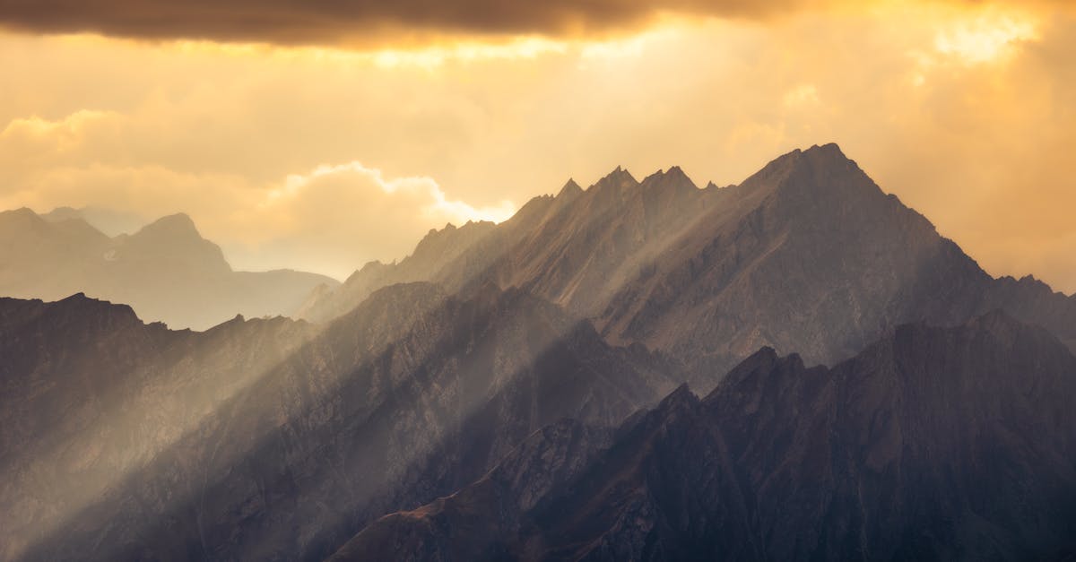 découvrez l'univers fascinant des sens, une exploration captivante des perceptions humaines. plongez dans les merveilles de la vue, de l'ouïe, du goût, de l'odorat et du toucher, et apprenez comment ces sens interagissent pour façonner notre expérience quotidienne du monde.