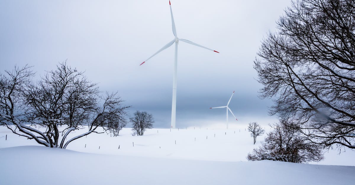 découvrez notre sélection de groupes électrogènes silencieux, conçus pour fournir une énergie fiable tout en minimisant le bruit. idéaux pour les activités en plein air, les chantiers ou les situations d'urgence, ces générateurs allient performance et tranquillité.