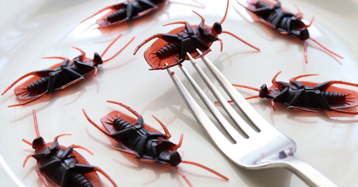 découvrez le monde fascinant des phobies étranges. plongez dans les peurs inattendues qui touchent des millions de personnes et explorez leurs origines, symptômes et solutions. apprenez à comprendre ces phobies atypiques et comment elles influencent le quotidien de ceux qui en souffrent.