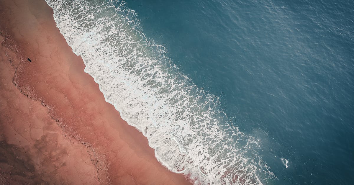 découvrez tide, la solution incontournable pour un linge impeccable. éliminez les taches tenaces et profitez de vêtements frais et éclatants grâce à notre formule innovante. tide, l'ami de votre lessive au quotidien !