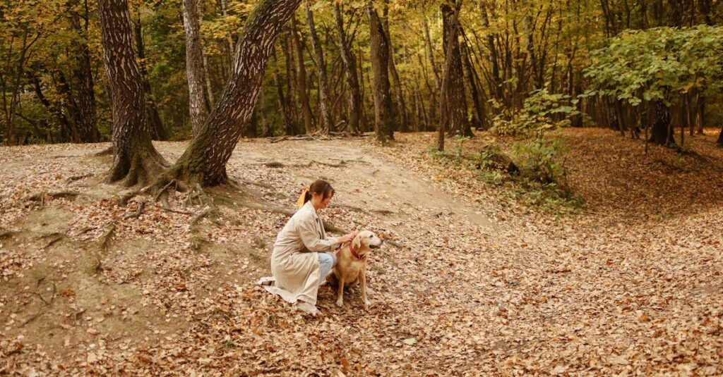 découvrez l'univers fascinant des chiots ! apprenez tout sur leur élevage, leur alimentation, leurs besoins et comment leur offrir un foyer aimant et sûr. plongez dans le monde des petits compagnons à quatre pattes et préparez-vous à accueillir le meilleur ami de l'homme.