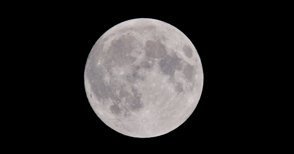 découvrez l'envoûtante beauté de 'moonlight', une exploration poétique et visuelle des mystères de la nuit. plongez dans un univers où la lumière de la lune illumine les âmes et inspire des rêves. une expérience cinématographique inoubliable qui résonne avec émotion et profondeur.