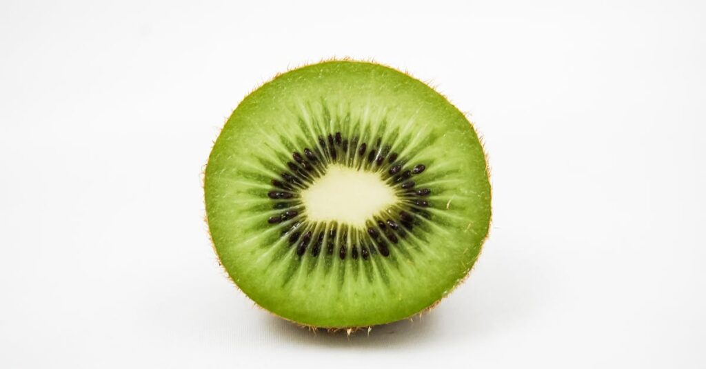découvrez tout sur le 'moule comestible' : ses caractéristiques, ses usages en cuisine et ses bienfaits nutritionnels. apprenez à l'identifier et à l'intégrer dans vos plats pour une expérience culinaire unique.