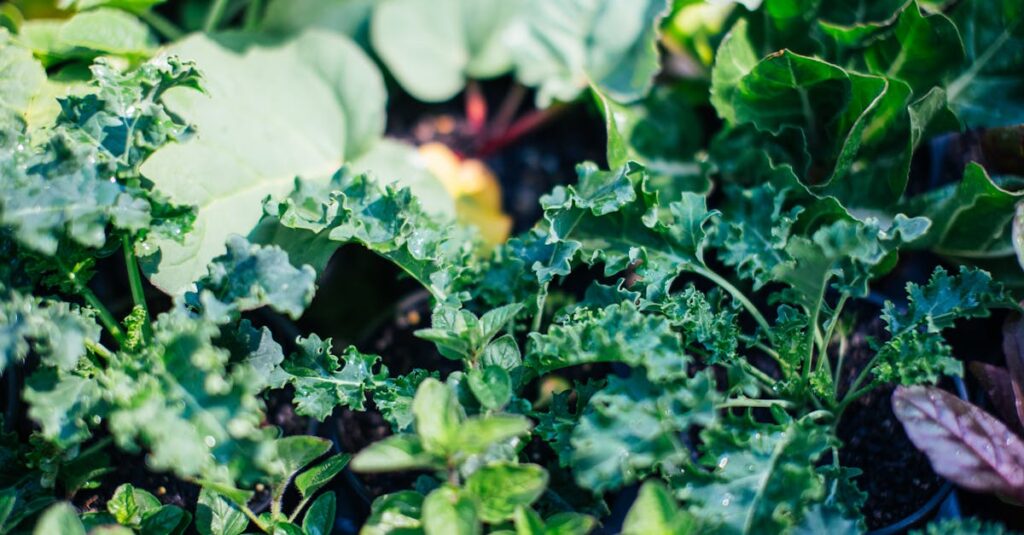 découvrez la chlorophylle, ce pigment essentiel qui joue un rôle clé dans la photosynthèse des plantes. apprenez ses bienfaits pour la santé, son impact sur notre environnement et comment l'intégrer dans votre alimentation.