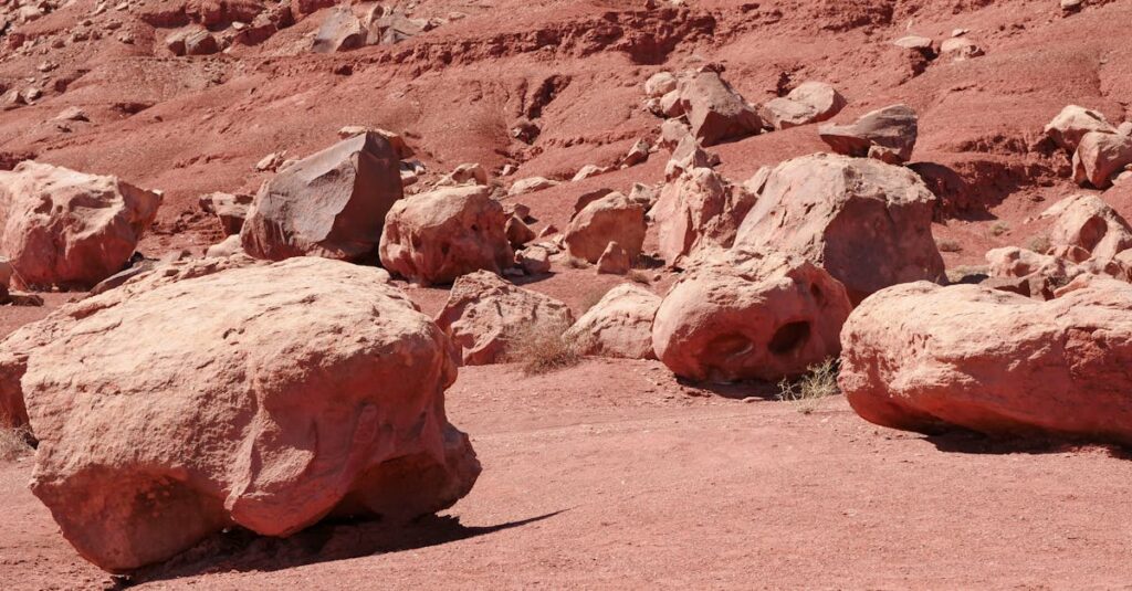 découvrez le mois de mars, symbole du renouveau et du printemps, où la nature se réveille et les jours s'allongent. explorez les événements marquants, les traditions, et les activités à ne pas manquer pour bien profiter de cette période dynamique de l'année.