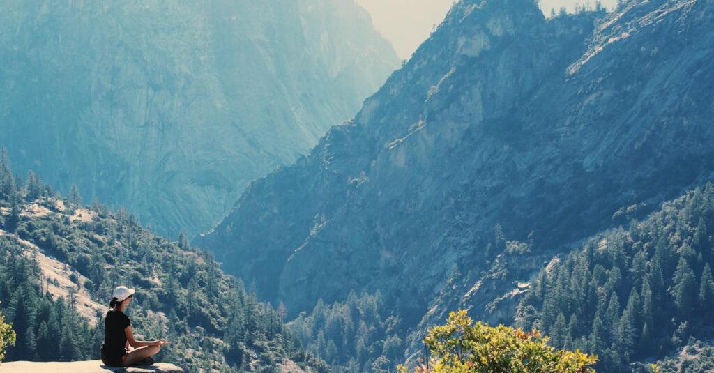 découvrez l'univers fascinant des conifères, ces arbres à aiguilles qui apportent beauté et caractère à nos paysages. apprenez leurs caractéristiques, variétés et conseils d'entretien pour en profiter toute l'année.