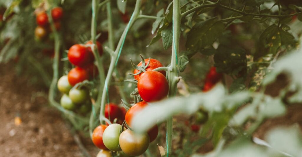 découvrez l'impact des pesticides sur l'environnement et la santé humaine. informez-vous sur les alternatives durables et les pratiques agricoles respectueuses de la nature pour un avenir sans pesticides.