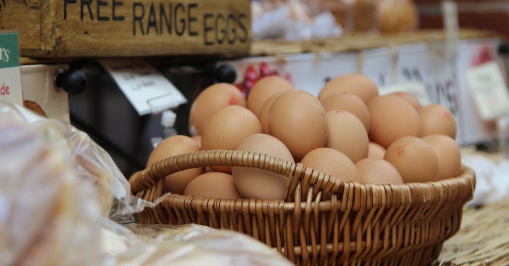 découvrez le monde fascinant des œufs : leurs bienfaits nutritionnels, des recettes savoureuses et des astuces pour les cuisiner à la perfection.