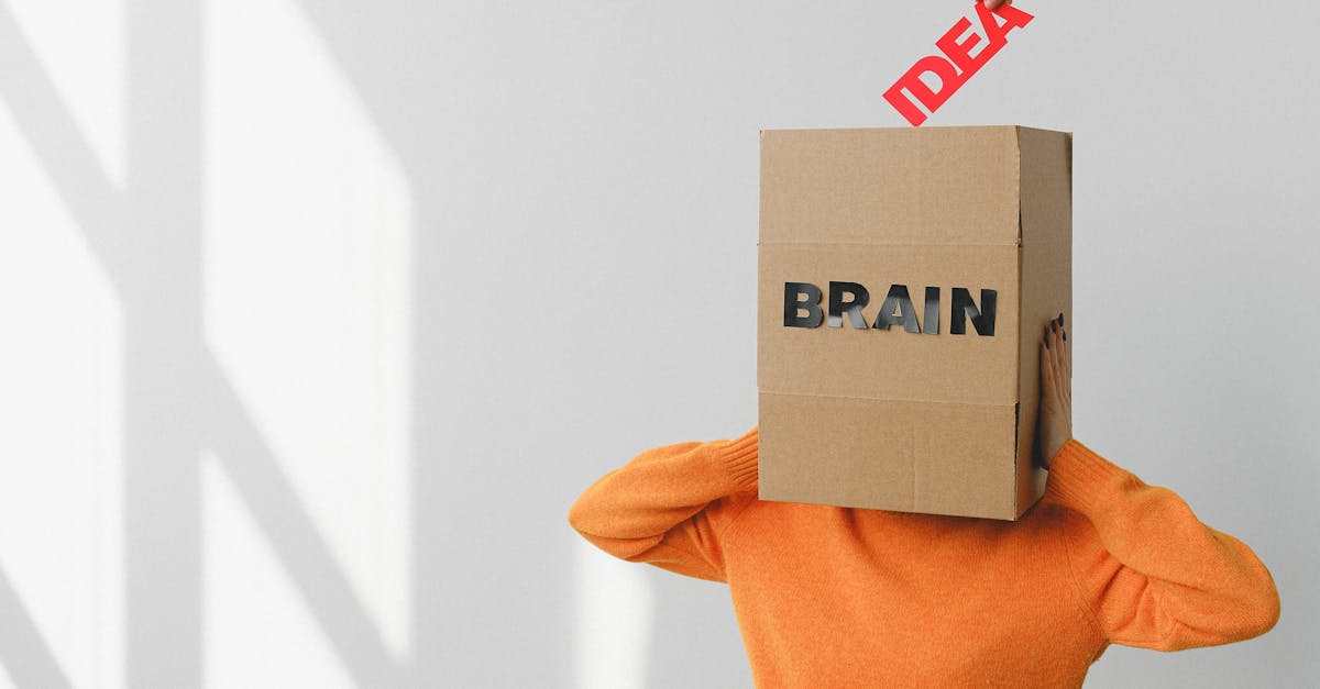 découvrez le fonctionnement fascinant du cerveau humain, son rôle essentiel dans nos comportements et émotions, ainsi que les dernières avancées en neuroscience.