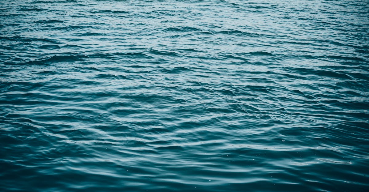 découvrez l'essence de la sérénité avec notre guide sur la calme. apprenez des techniques efficaces pour apaiser votre esprit et retrouver votre tranquillité intérieure. explorez des pratiques de relaxation qui favoriseront votre bien-être au quotidien.