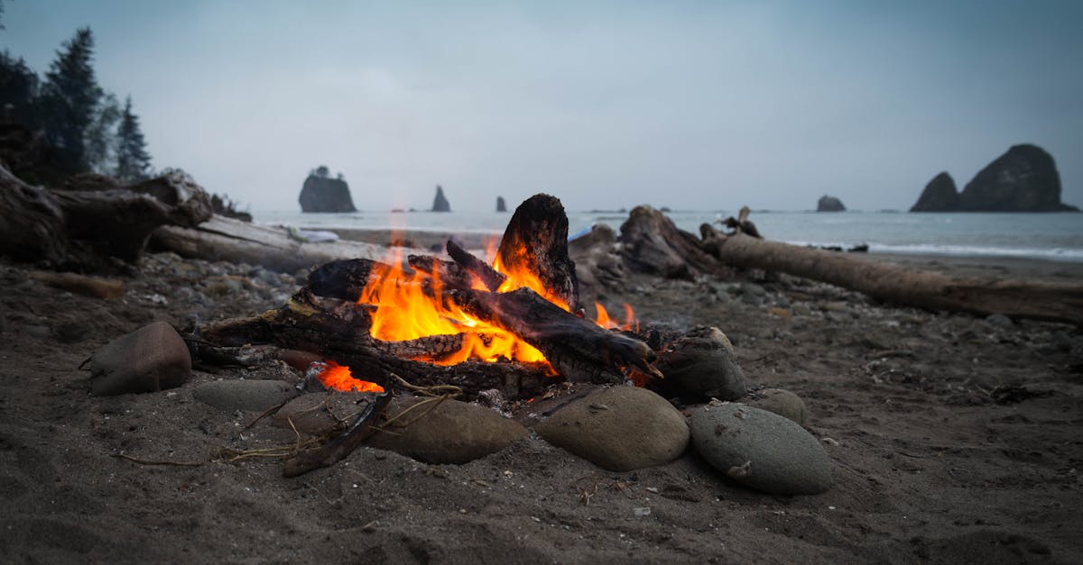 découvrez l'art de créer des souvenirs inoubliables autour d'un feu de camp. allumez la flamme de la convivialité, partagez des histoires captivantes et savourez des délices grillés sous les étoiles. rejoignez-nous pour une expérience immersive en pleine nature qui ravira petits et grands.