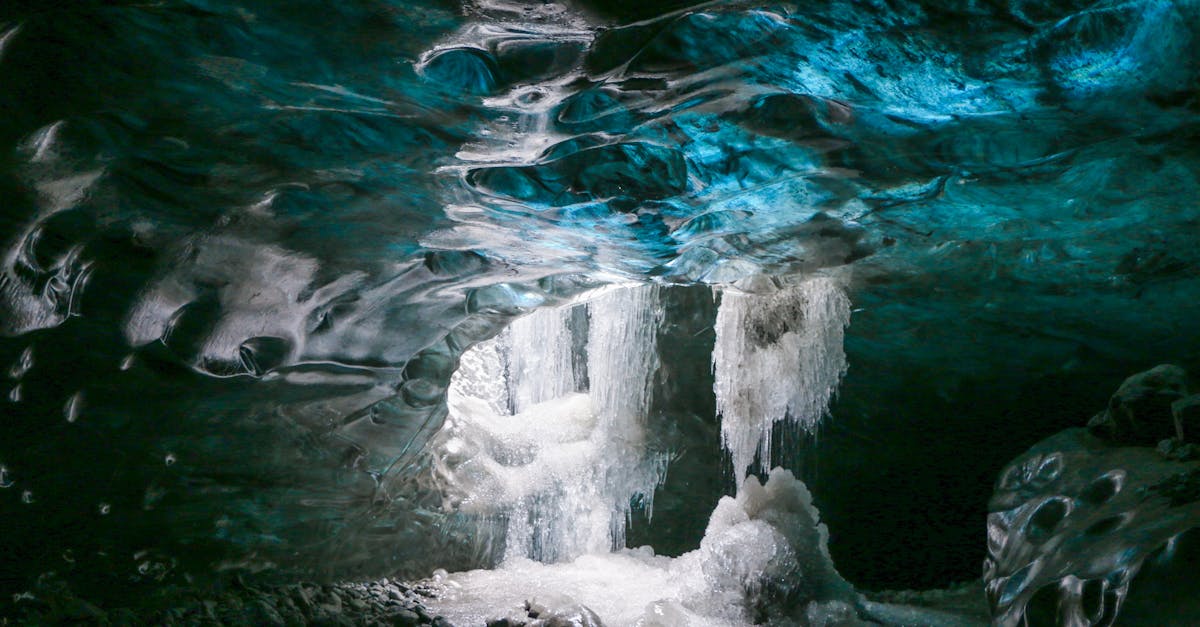 découvrez l'art fascinant des peintures rupestres, témoignant de l'ingéniosité humaine et de la créativité des ancêtres. explorez les significations et techniques de ces œuvres préhistoriques qui nous connectent à notre passé.