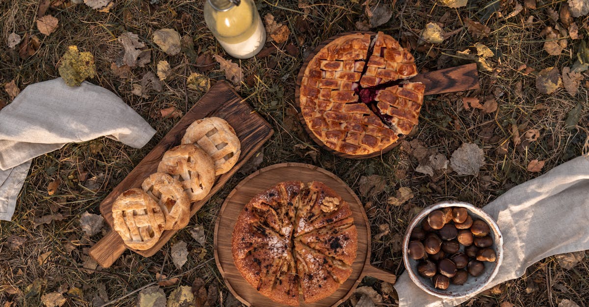 découvrez l'univers des châtaignes, ce fruit d'automne aux saveurs délicieuses ! apprenez-en plus sur leurs bienfaits, recettes gourmandes et différentes variétés. un voyage savoureux au cœur des châtaignes vous attend.