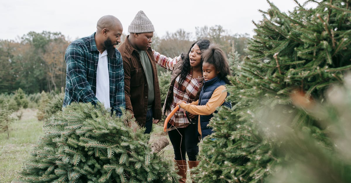découvrez notre charmant stand de village de noël, où la magie des fêtes prend vie avec des décorations scintillantes, des cadeaux uniques et une ambiance chaleureuse. plongez dans l'esprit de noël et trouvez tout ce qu'il vous faut pour célébrer cette saison festive en famille.
