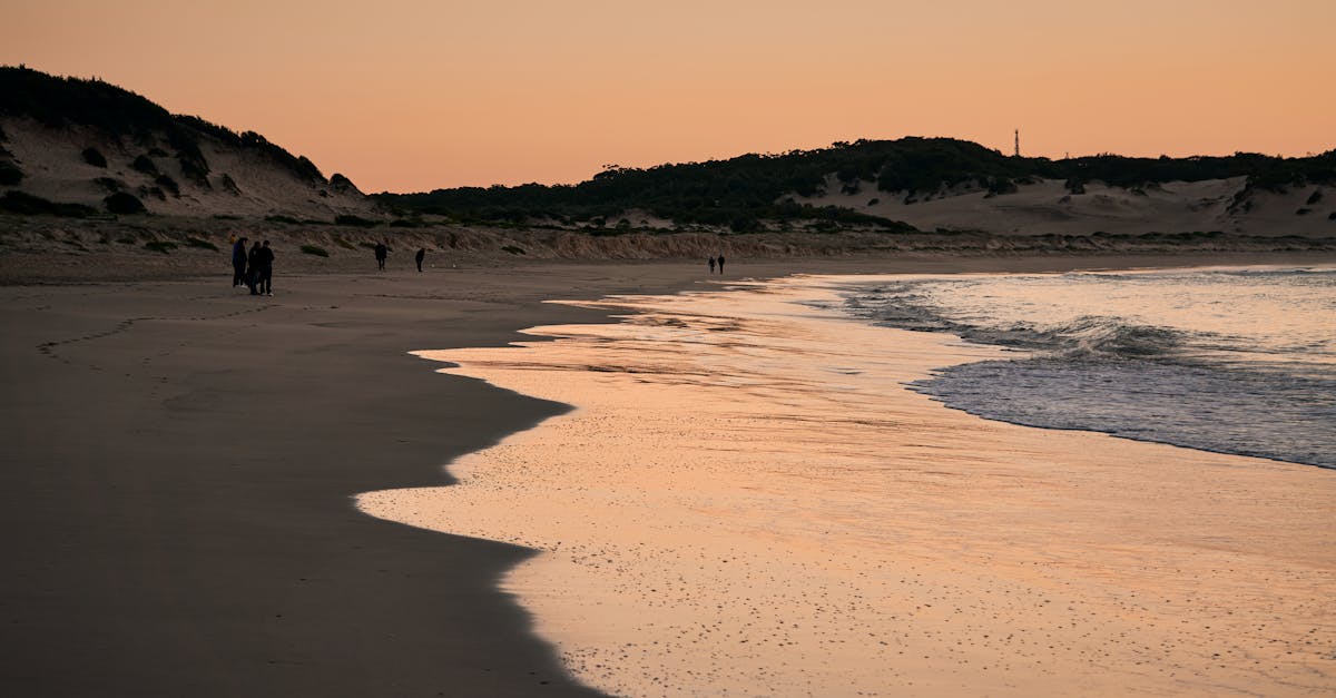 découvrez les côtes magnifiques du monde où la terre rencontre la mer. explorez des plages immaculées, des falaises impressionnantes et des paysages marins à couper le souffle. parfait pour les amoureux de la nature et les aventuriers en quête d'évasion.