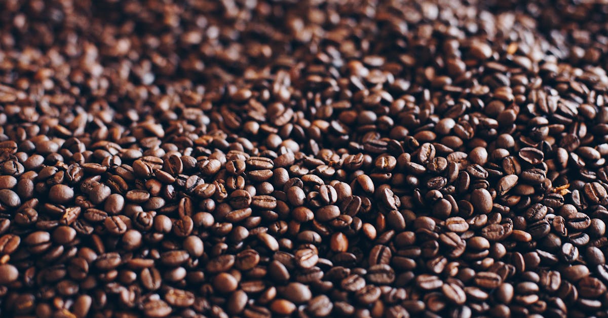 découvrez l'univers du café : des arômes envoûtants aux bienfaits pour la santé, explorez les différentes variétés, méthodes de préparation et astuces pour savourer chaque gorgée de cette boisson enivrante.