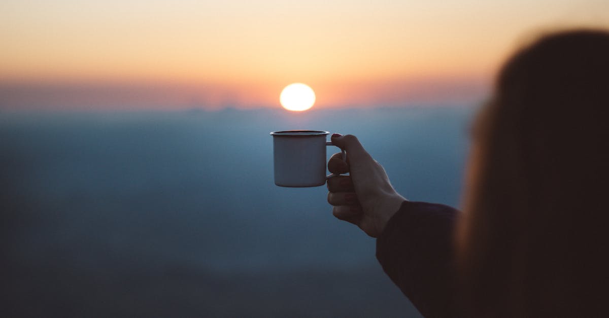 découvrez l'univers du café : des arômes envoûtants, des méthodes de préparation variées et des conseils pour savourer chaque tasse. plongez dans la culture café et explorez les variétés, des classiques aux nouvelles tendances.