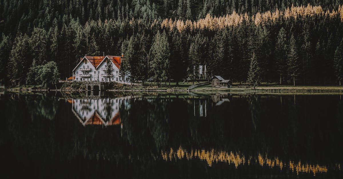 découvrez l'univers fascinant des conifères, ces arbres majestueux qui embellissent nos paysages et jouent un rôle essentiel dans notre écosystème. apprenez-en plus sur leurs variétés, leurs caractéristiques et leurs bienfaits pour l'environnement.