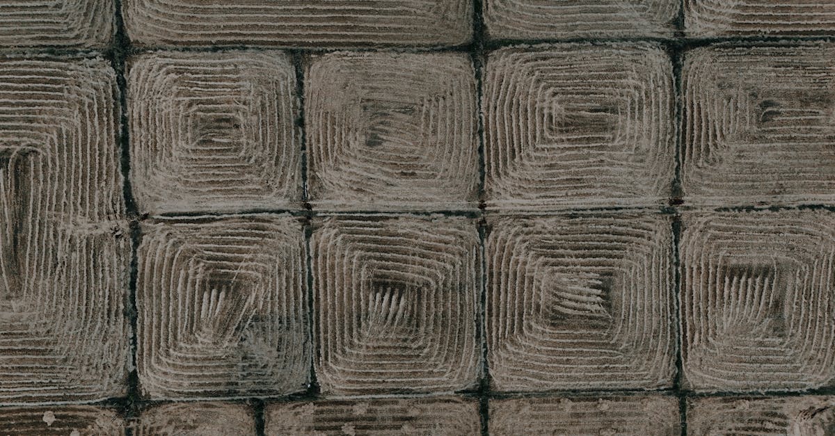 découvrez le mystère fascinant des cercles de culture, ces formations énigmatiques apparues dans les champs du monde entier. explorez leur origine, les théories qui les entourent et les témoignages de ceux qui les ont vus de leurs propres yeux.