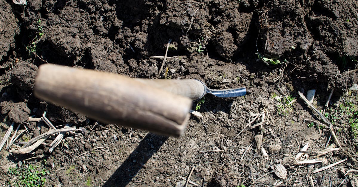 découvrez l'art du creusage avec nos conseils pratiques et techniques, que ce soit pour le jardinage, la construction ou l'exploration. apprenez les meilleures méthodes et outils pour maximiser votre efficacité.