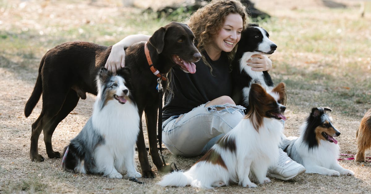 découvrez les différentes races de chiens, leurs caractéristiques uniques, leur tempérament et des conseils pour choisir le compagnon idéal pour votre mode de vie. informez-vous sur les besoins spécifiques de chaque race pour assurer une vie harmonieuse avec votre animal.