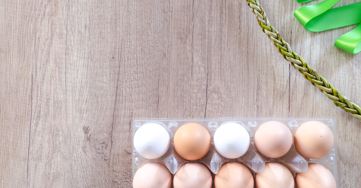 découvrez l'univers fascinant des œufs : recettes savoureuses, bienfaits nutritionnels et astuces de cuisson pour savourer ce super-aliment dans votre quotidien.