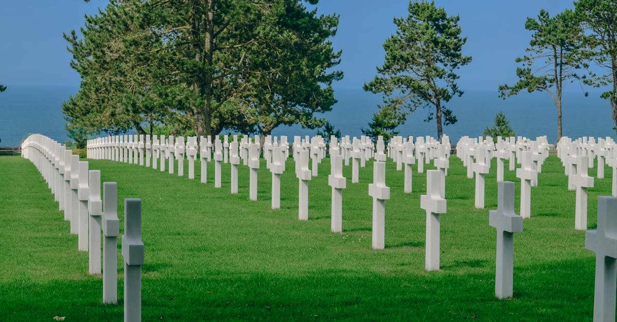 découvrez l'histoire et le parcours des soldats français, symbole de bravoure et de dévouement, à travers les conflits majeurs et les missions de paix. plongez dans leur quotidien, leurs défis et leur héritage militaire.
