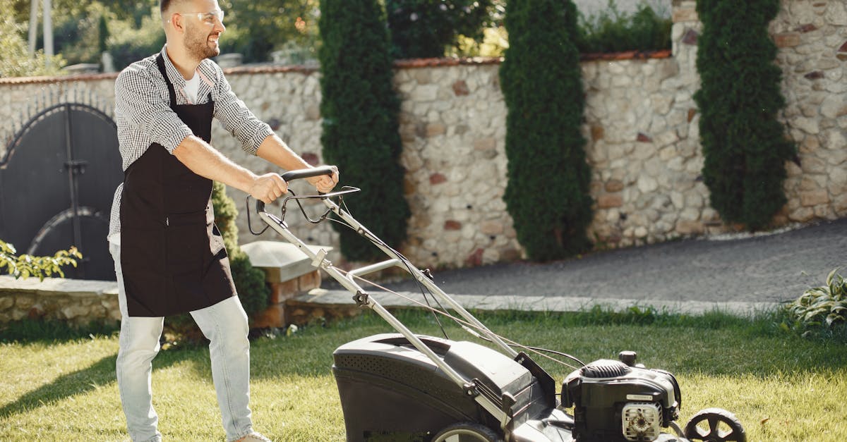 découvrez nos services de tonte de pelouse, offrant un entretien professionnel pour votre jardin. profitez d'un gazon sain et esthétique toute l'année grâce à nos experts en entretien paysager.