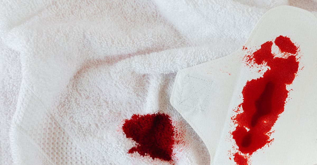 suivez votre cycle menstruel avec précision grâce à notre outil de suivi. obtenez des insights personnalisés, des prédictions de règles, et des conseils pour mieux comprendre votre santé féminine.