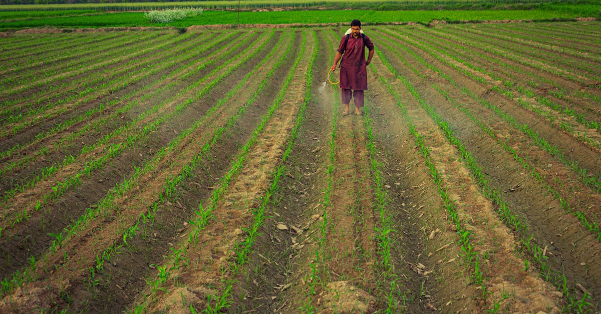 découvrez les enjeux des pesticides : impact sur l'environnement, la santé et les alternatives durables pour une agriculture responsable.