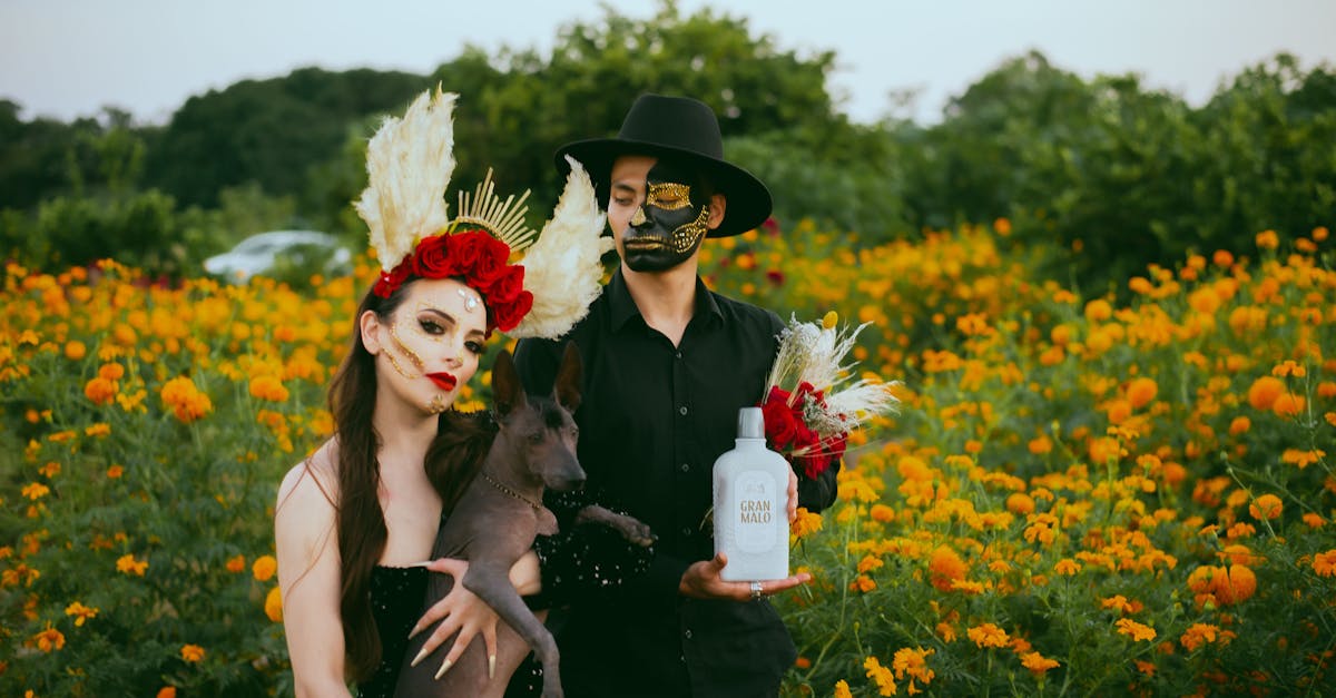 découvrez notre collection tendance de costumes pour animaux de compagnie ! transformez votre fidèle compagnon en un personnage adorable pour les fêtes, les carnavals ou simplement pour le plaisir. faites de votre animal la star de la soirée avec nos costumes amusants et confortables.